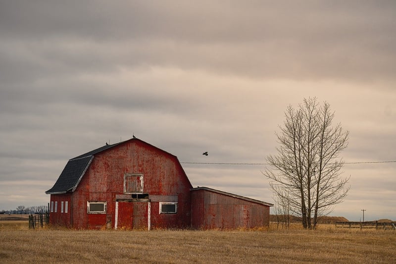 Rustic Barn Wedding